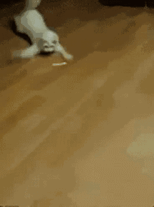 遇见这样的你,花光我所有好运气