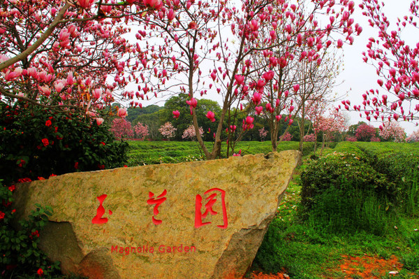 【最美春天】南昌凤凰沟,花飞花谢花满天