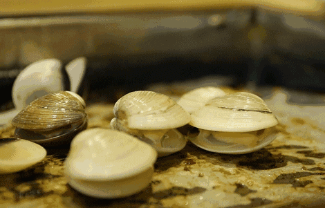 烧烤区闯关成功!正妹体力储备已达20%.