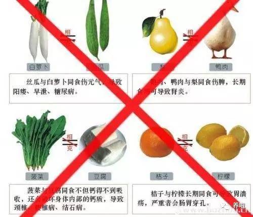 a3j5810287508856619.jpeg
