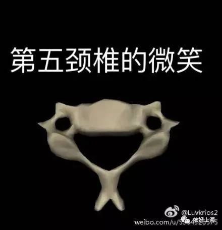 用表情包来形容你所学专业!看完直接笑到地上!你是学啥的?