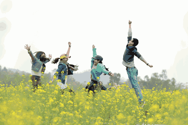 油菜花开一片金黄,引来彩蝶和蜜蜂在花丛间飞舞,为乡间增添了缤纷的
