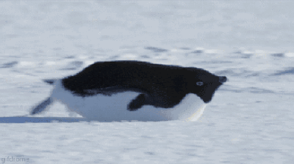 600_336