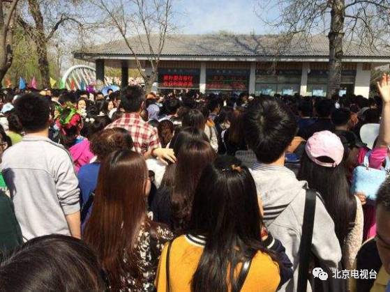 十三人的团体 a63bjv1456921534296.jpeg