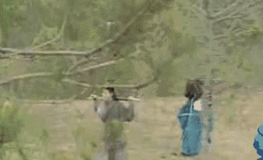 最惊人的是东方不败