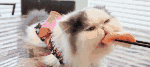 也在担心会不会自己心爱的哪种美食又上了