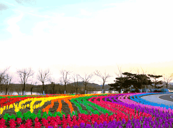 悦享南湖,与风车一起邂逅这个春天!