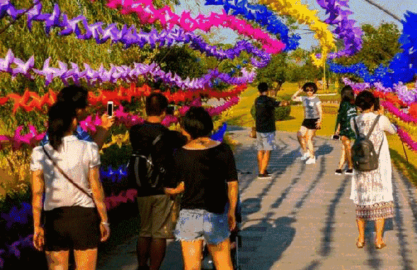 悦享南湖,与风车一起邂逅这个春天!