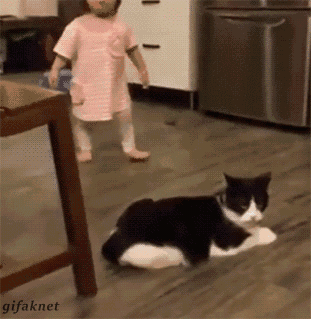 小小动图:乖乖束手就擒吧,省的我动手了