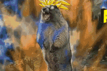 e句话头条|一些人借爱国之名做给国家抹黑的事,不是蠢