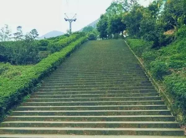 慢行重庆!主城8大登山步道/古道任你游!