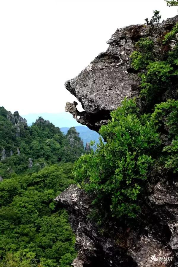 汉中最美是黎坪之黎坪 · 石马山