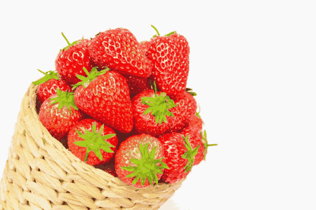 草莓品种排名_草莓品种大全及照片(2)