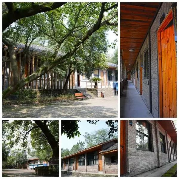 重庆邮电大学移通学院 在移通,有着与五百年菩提古树作伴的菩提书院