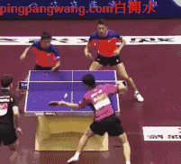 乒乓网