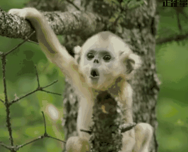 车圈段子:这些笑话都不咋地~-新闻频道-手机搜狐