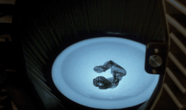 这部童年阴影不知会再恶心多少人