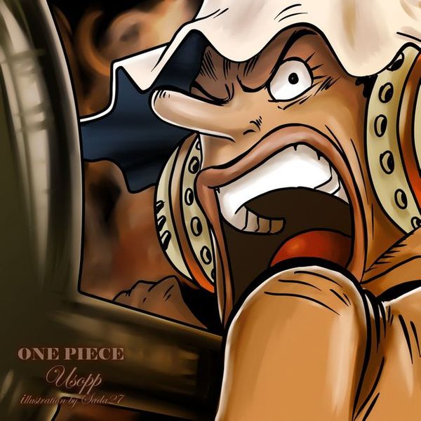 海贼团排名_草帽海贼团(3)