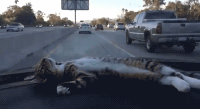 搞笑gif囧图丨会玩儿的妹子,好吃不?-娱乐频道-手机