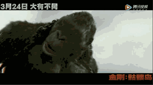 【预售开启】3.24《金刚:骷髅岛》金刚与人类部队的对峙!