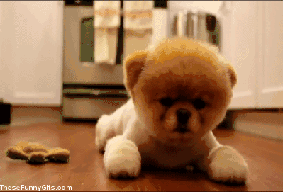 呵呵哒,你特么以为是毛绒玩具啊?