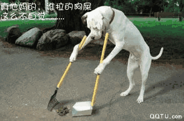 遛狗牵绳,随身携带宠物粪便袋, 定期给狗狗注射狂犬病疫苗, 陪伴它们