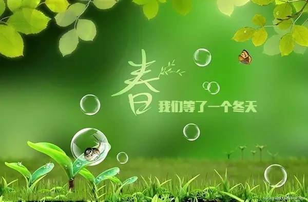 什么时候天气会暖和起来 a1fvax9018563215412.jpeg