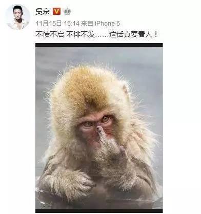 a7yv474904486147542.jpeg