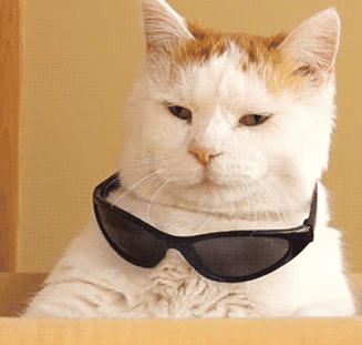 劲爆搞笑四十张图第37期 有谁能懂我!