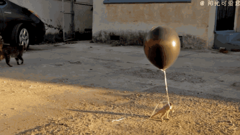 逆天古怪而令人惊叹的科学物理动态图!总有你不懂