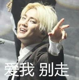 哪个明星的表情包比较搞笑?