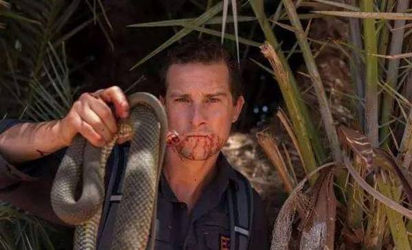 贝爷的荒岛求生图片