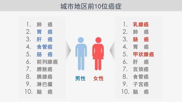 中国50岁人口多少亿_50岁女人(3)