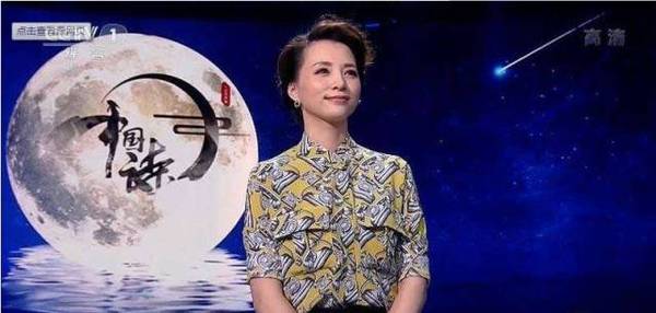 成语大会王蕊猜词_王蕊成语大赛照片(3)