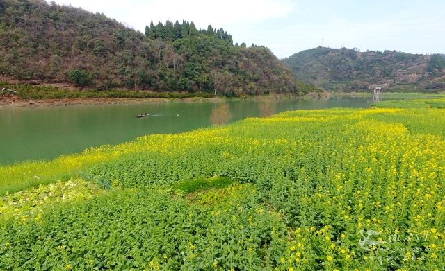 [湘西] 春天在湘西的大山里