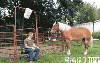 今日爆笑gif:小姐我发誓我什么都没有做!-笑话频道