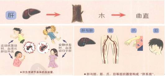 a9qhkj98585476274405.jpeg