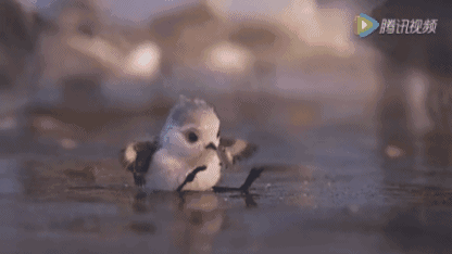 这部6分钟的动画捧走了奥斯卡小金人,看过的人都被萌翻了