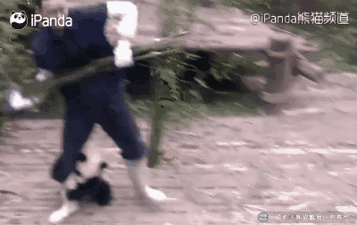 求亲亲!求抱抱!举高高!