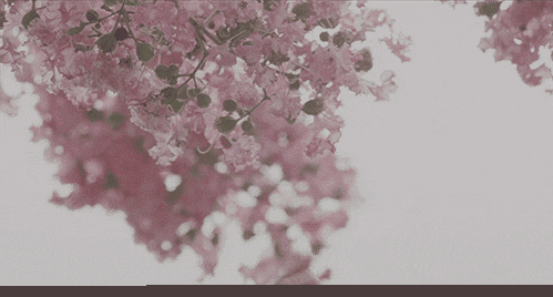 性相近的,在一起, 心相知的,要分离 雨还没有落哪 鞋已经湿啦 红花开