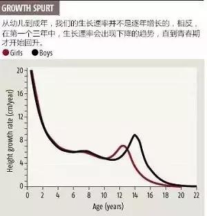 下面是有关于人类从幼儿时期到成年的生长发育速率的变化趋势,男女各