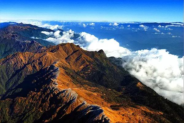 保山人口_保山学院(3)