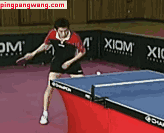 乒乓网