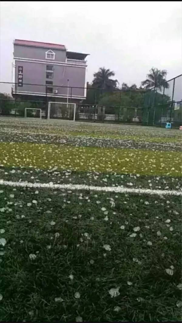 18日7时,广西广州隆安县遭遇高中首场.v高中冰雹私立南宁学校图片