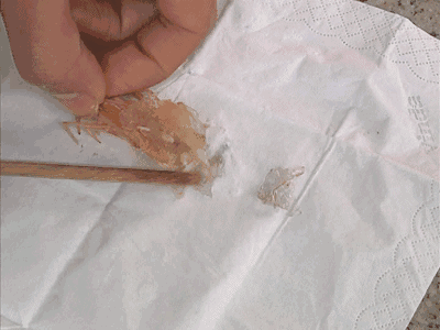 记者现在来到了南村综合市场,报料人说这里面,一共有三间水产档口销售冷冻虾,而他就在其中两间,购买过怀疑有问题的冷冻虾,我们现在就马上进入市场,一探究竟。
