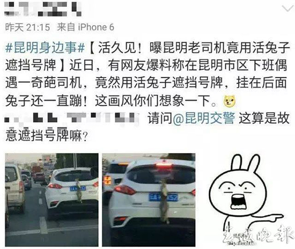 小兔子究竟犯了什么错?竟遭受如此虐待?许多网友纷纷留言,“可以不爱,但不要伤害”。