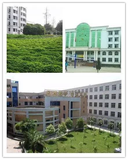 襄阳市小学排名_襄阳市万户小学图片(3)