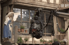 当然也不是全部都是,围绕在野兽城堡四周的魔法森林不只是特效,还有