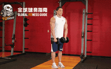 坐姿杠铃颈前推举 (4组×12次) (4组×12次) (4组×12次) (4组×12次