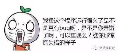 自己写的代码有bug 运行很久 自己发现 so 怎么告诉程序员有bug是门